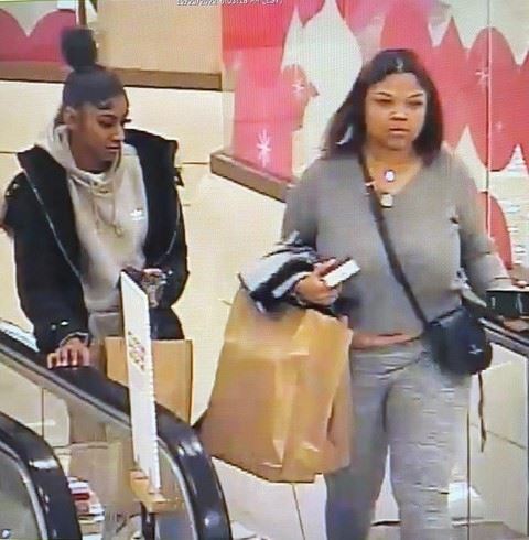 Picture of 2 female suspects (002)