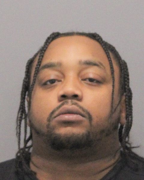 Shadon Chestnut