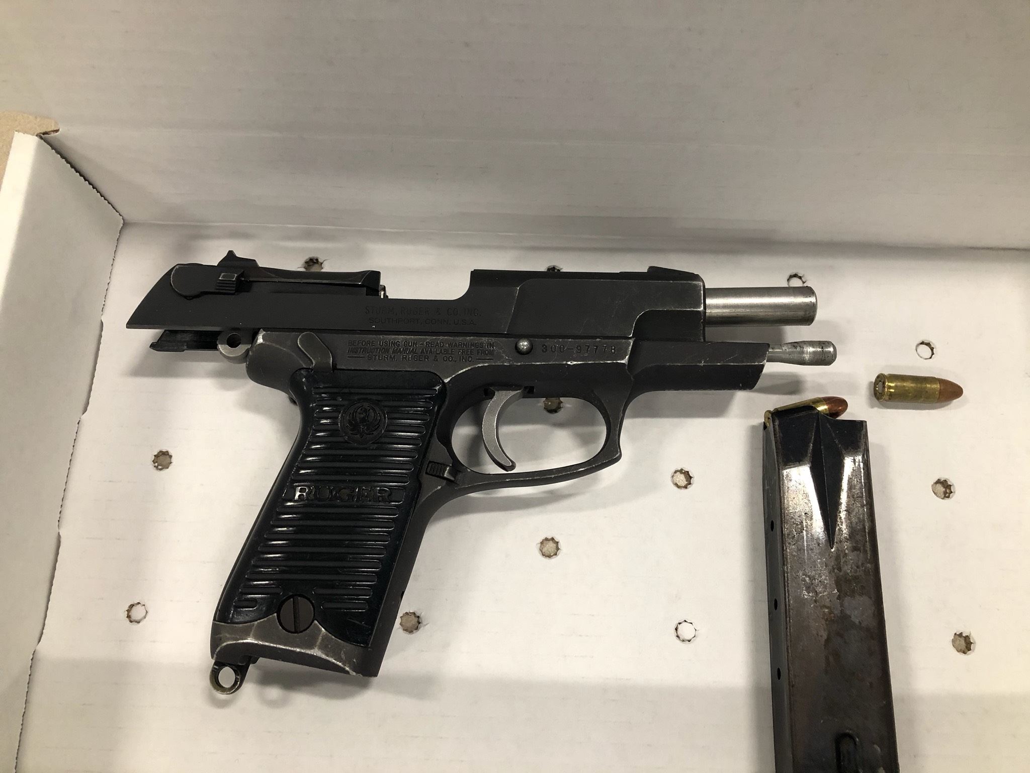 GunPic1