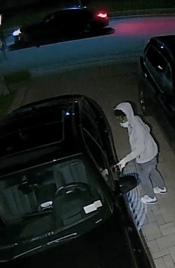 Forest Drive Burglary