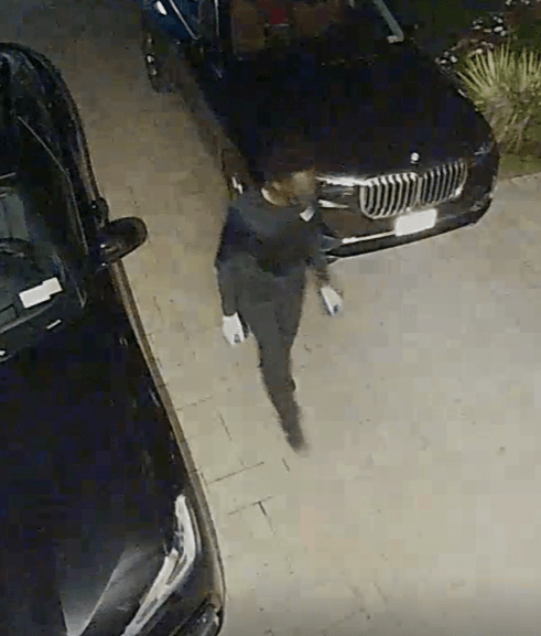 Forest Drive Burglary 2