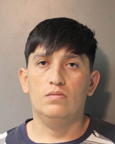 leiva sepulveda
