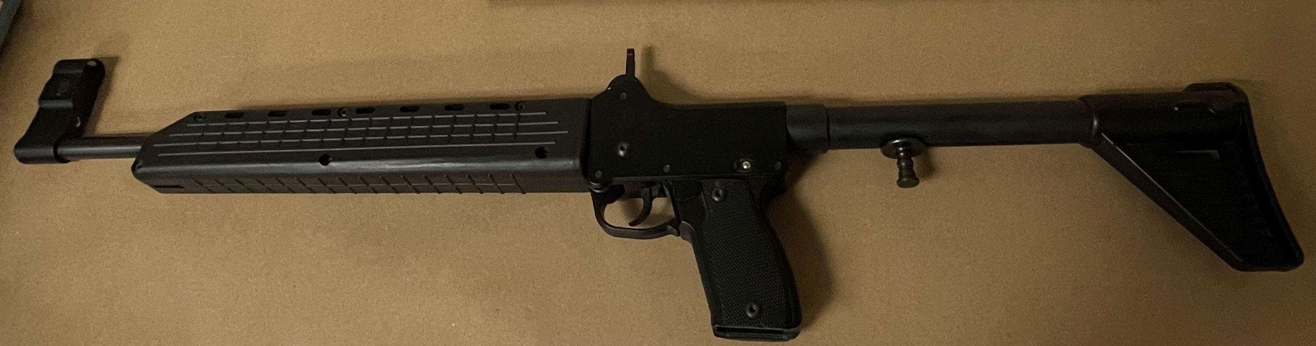 Lakeview gun