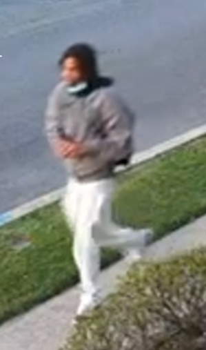 Male suspect - gray jacket (2)
